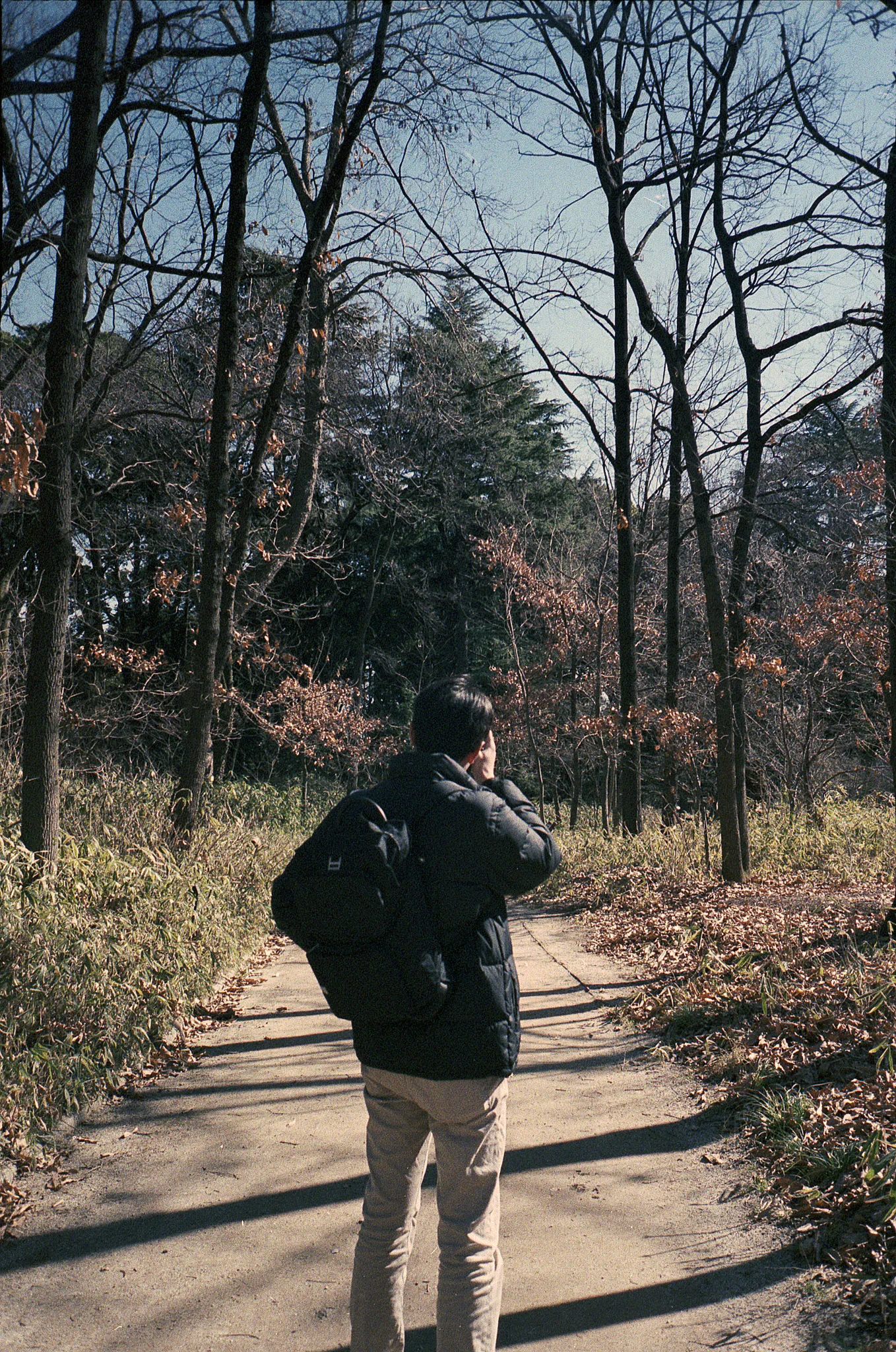 olympus-mju-ii-2015-03-01-natura-1600-13